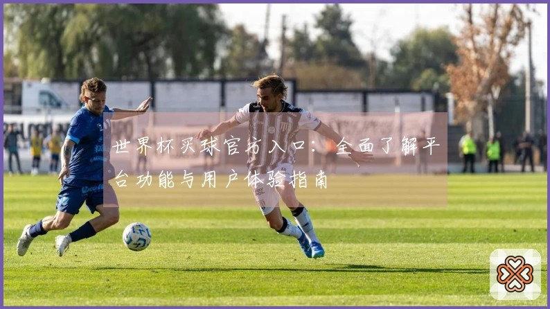 世界杯买球官方入口：全面了解平台功能与用户体验指南