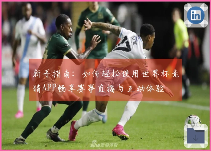 新手指南：如何轻松使用世界杯竞猜APP畅享赛事直播与互动体验