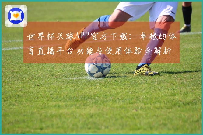 世界杯买球APP官方下载：卓越的体育直播平台功能与使用体验全解析