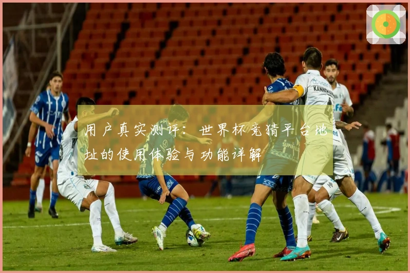 用户真实测评：世界杯竞猜平台地址的使用体验与功能详解