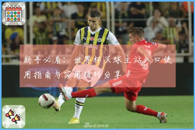 新手必看：世界杯买球主站入口使用指南与实用技巧分享