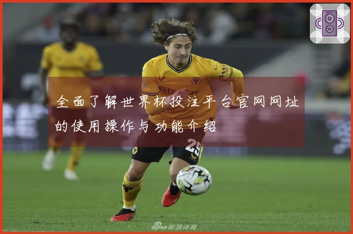 全面了解世界杯投注平台官网网址的使用操作与功能介绍