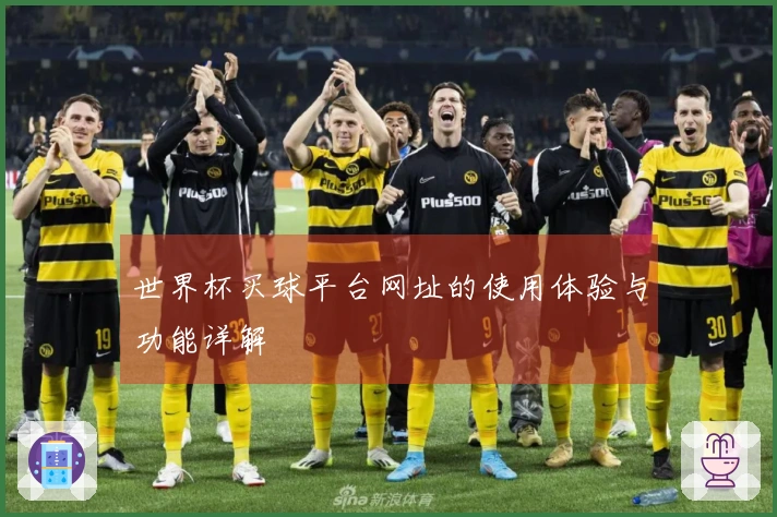 世界杯买球平台网址的使用体验与功能详解
