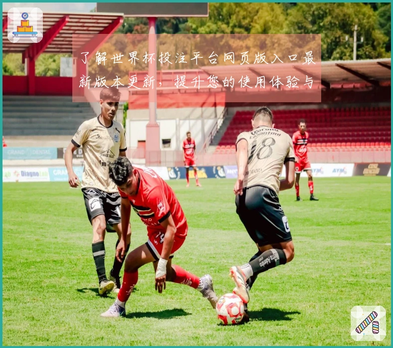 了解世界杯投注平台网页版入口最新版本更新，提升您的使用体验与功能体验