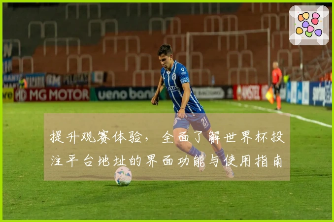 提升观赛体验，全面了解世界杯投注平台地址的界面功能与使用指南