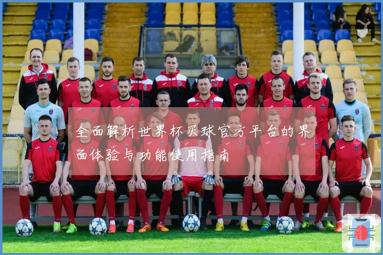 全面解析世界杯买球官方平台的界面体验与功能使用指南