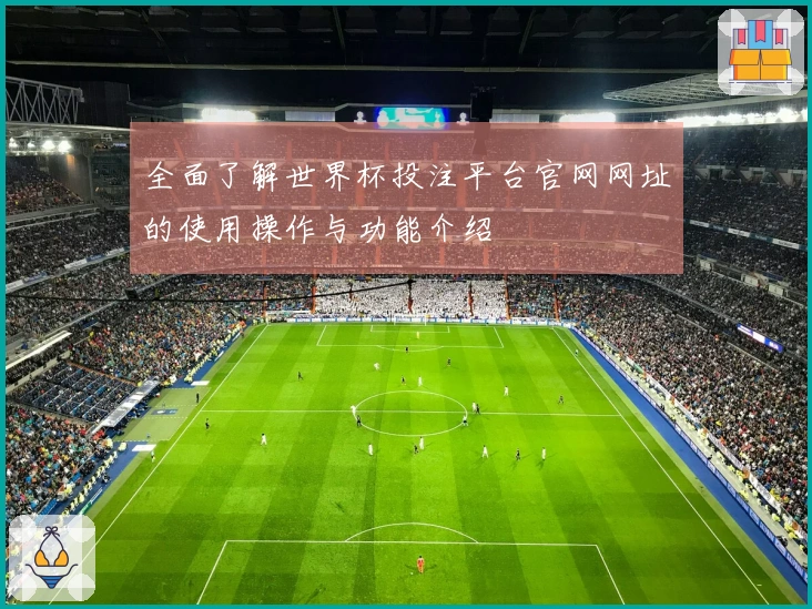 全面了解世界杯投注平台官网网址的使用操作与功能介绍