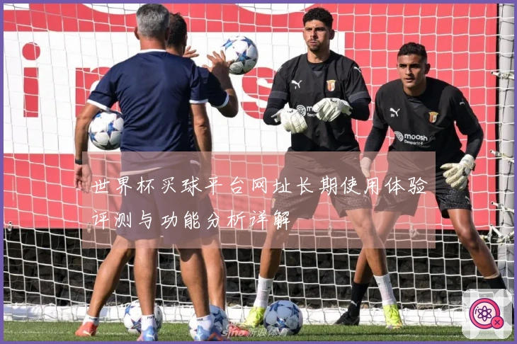 世界杯买球平台网址长期使用体验评测与功能分析详解