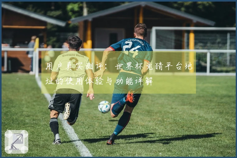 用户真实测评:世界杯竞猜平台地址的使用体验与功能详解