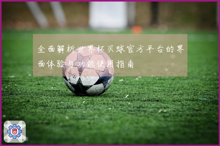 全面解析世界杯买球官方平台的界面体验与功能使用指南