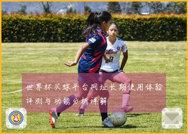 世界杯买球平台网址长期使用体验评测与功能分析详解