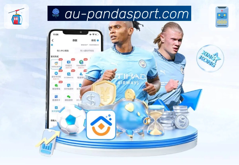 熊猫体育 Sports 官方视觉图